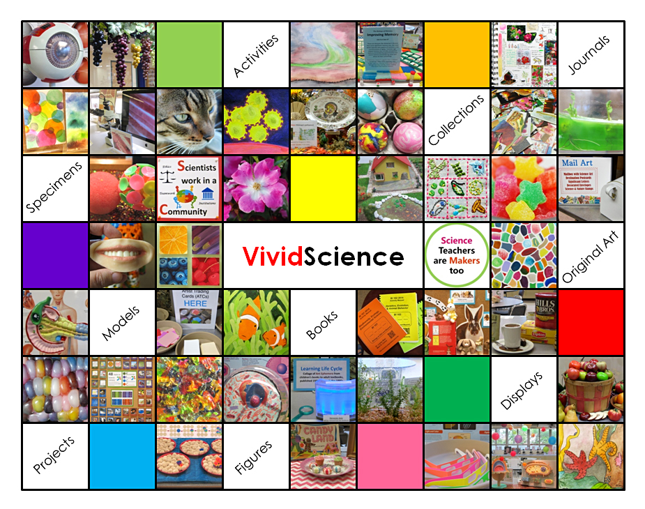 vividscience