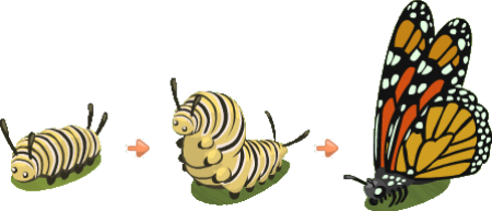 Caterpillar_Life_Cycle