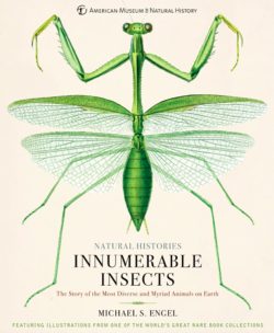 Experience the diversity of insects in a new way with incredible illustrations.