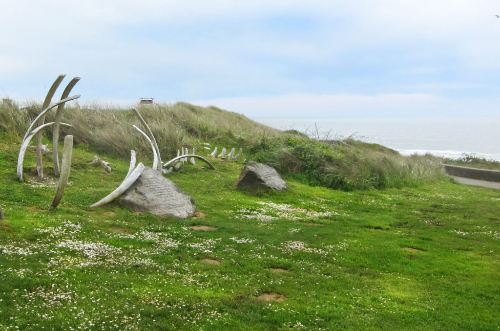 A whale bone sculpture exploring human-animal interactions at Nye Beach, Newport Oregon. This course addresses both natural environments and human-created environments.