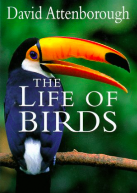 The companion book to a series with amazing bird footage.