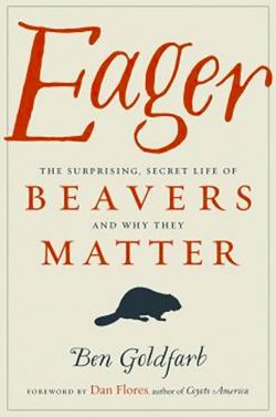 Meet nature's engineers: the magnificent beavers.