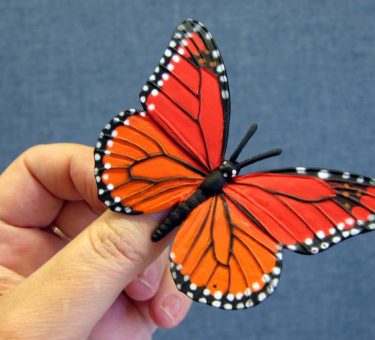 butterfly model hand
