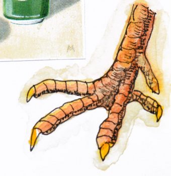 chicken foot 1