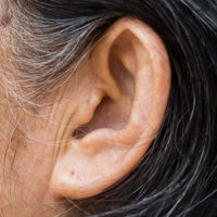 Hair cells in human ears collect information on sound amplitude and frequency.
