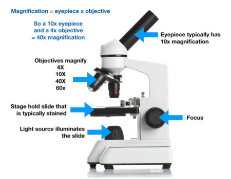 microscope info