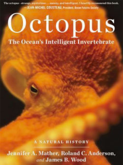 Learn more about the unique characteristics of octopus species.