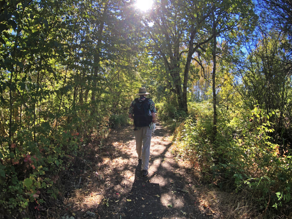 Our land is recovering from agricultural over-use and loss of soil organisms. Since 2002, we've seen the planted trees grow and a wide variety of animals appear.