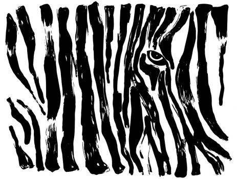 zebra illustration