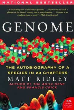An intriguing look at the complexity of the human genome.