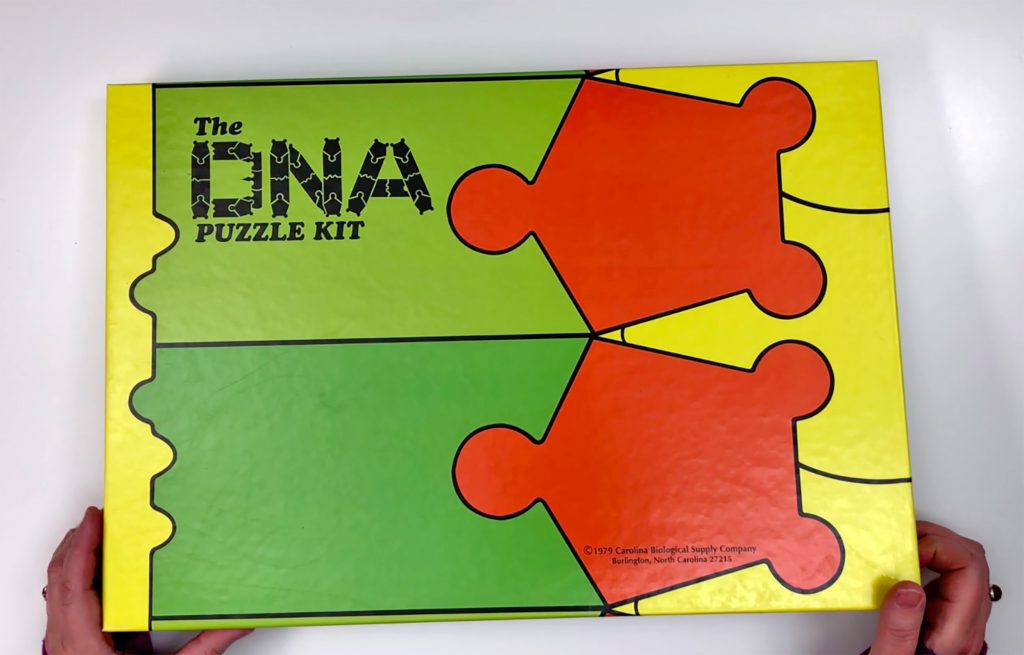 Original DNA Puzzle Kit  Carolina Biological Supply