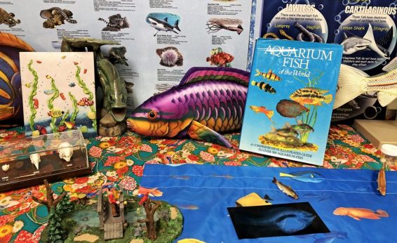 If you live by water, and so many humans do, the cultural impact of fish is probably something reflected in a wide range of art and collectibles.