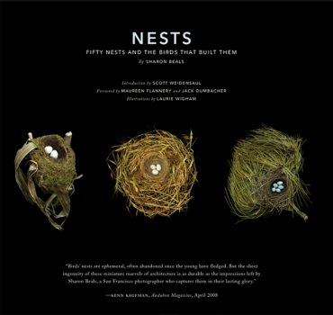 It's like a game to match birds with their nests.