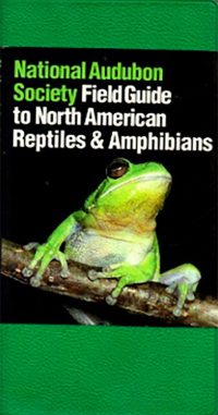 Be ready in the field for the occasional amphibian (and reptile) sightings.