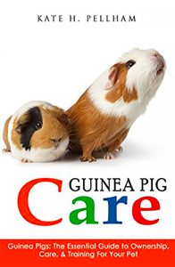 You know you want two (or more); with good care, guinea pigs are excellent long-term pets.