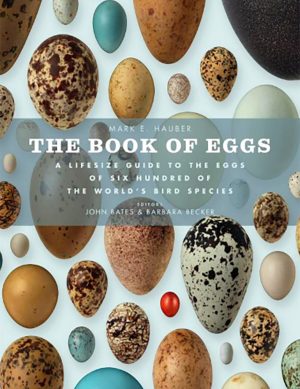 A book that captures the overwhelming beauty of eggs.