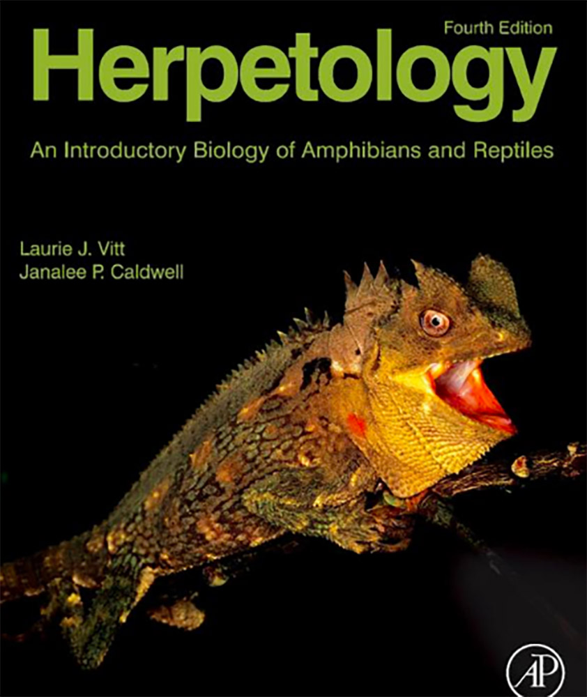 If you can't get enough of amphibians and reptiles, there is plenty to learn.