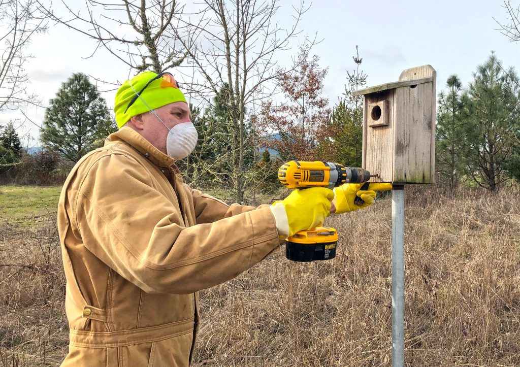 To support western bluebird populations, it will take many years and potentially generations of birders setting up, cleaning, and repairing nest boxes, year after year.