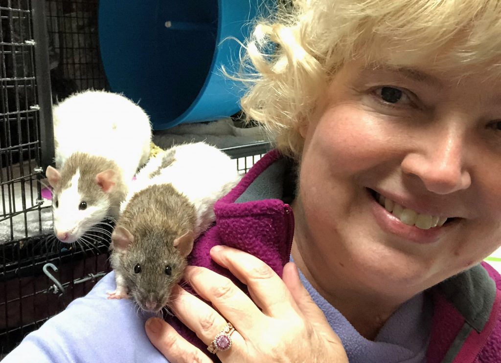 Two of the six rats were bolder right from the start: Binx and Blaze are explorers and get carried around while the other rats run on their wheels or wrestle on the ramps.