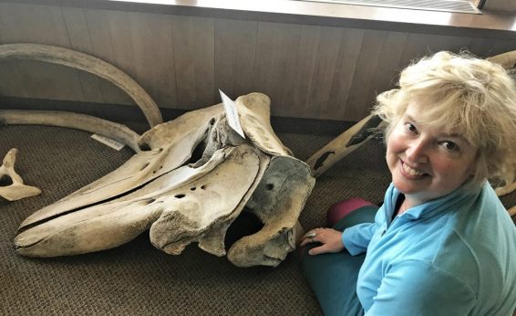 We've been teaching for over 30 years, and there are still so many things to discover, like these whale bones at the Cape Perpetua Interpretive Center, Oregon.
