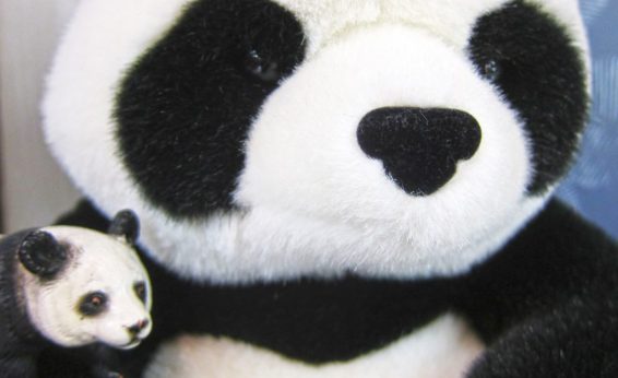 It's probably not a big surprise at this point, but we have a "few" panda items. Including panda costumes, stuffed animals, and plenty of books.