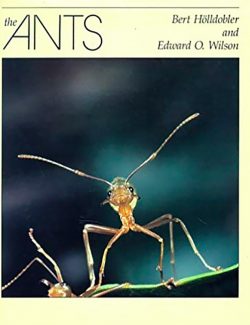 This is a classic: you will never look at ants the same way again.