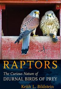 A fascinating look at the complexity of raptor behaviors.