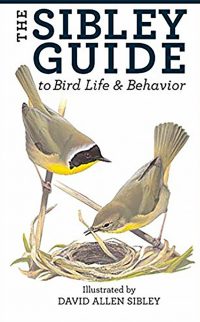 Birds bring animals behaviors directly to our parks and yards: find out what they are up to.