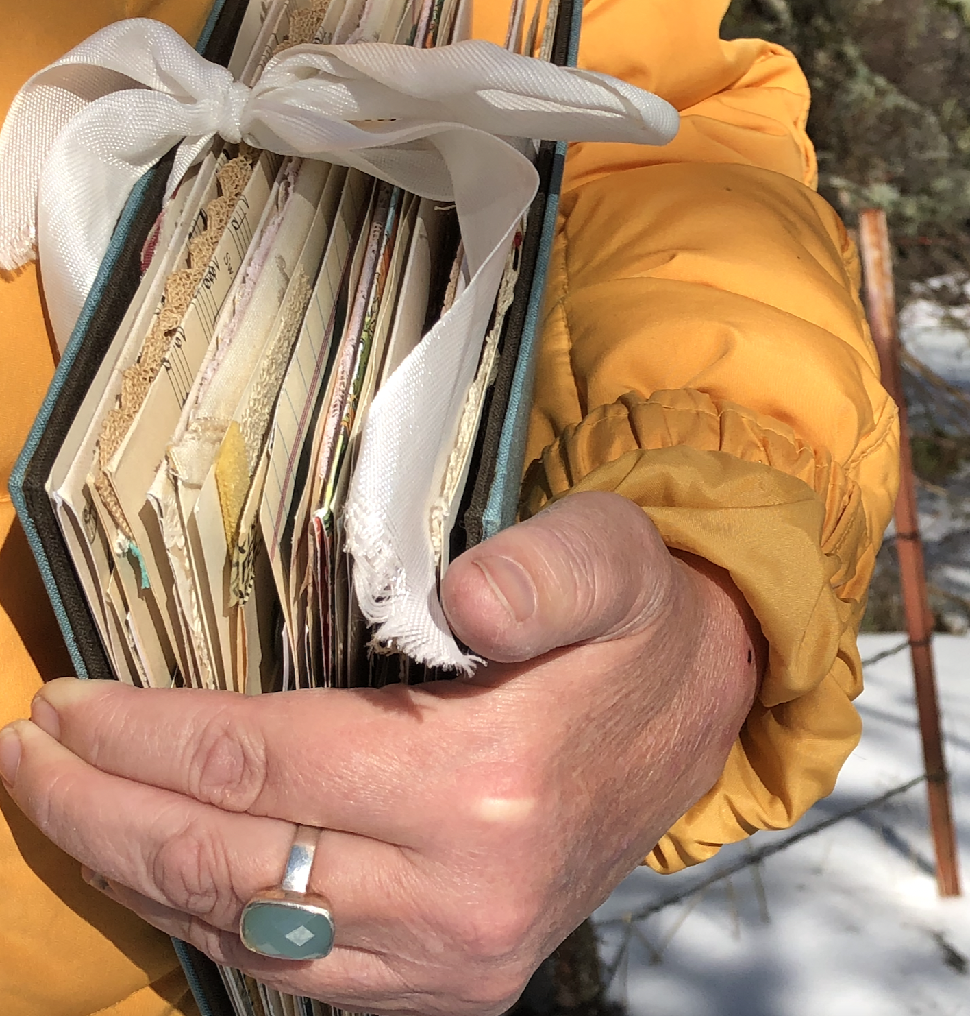 Nature journaling in the snow