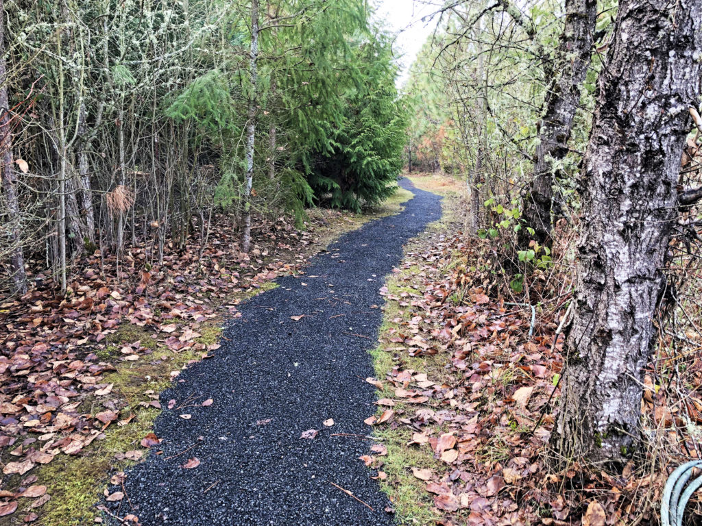 A recent addition to our yard is an ADA-style trail.  Animals, including deer and fox, regularly use the trail; seed and fruit-filled feeders insure the animals come to us.