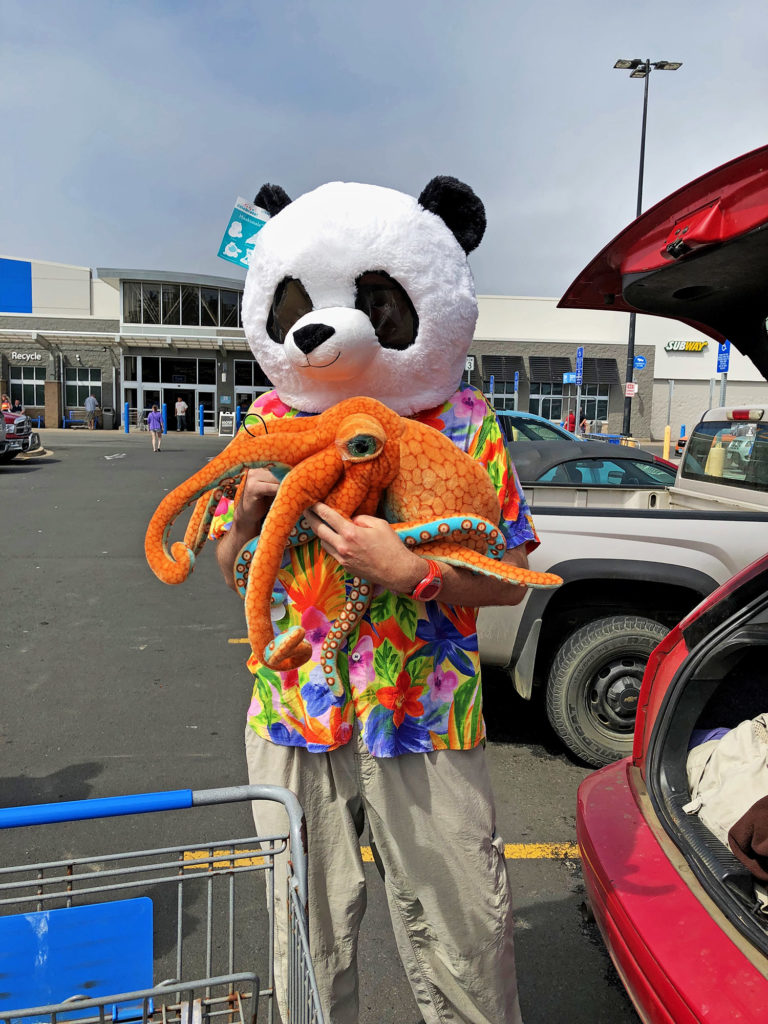 Science is often thought of as just repetitive and a bit boring, but many people with "unusual" personalities are drawn to the opportunity to discover.  Or to just have an excuse to buy animal stuff at Walmart.