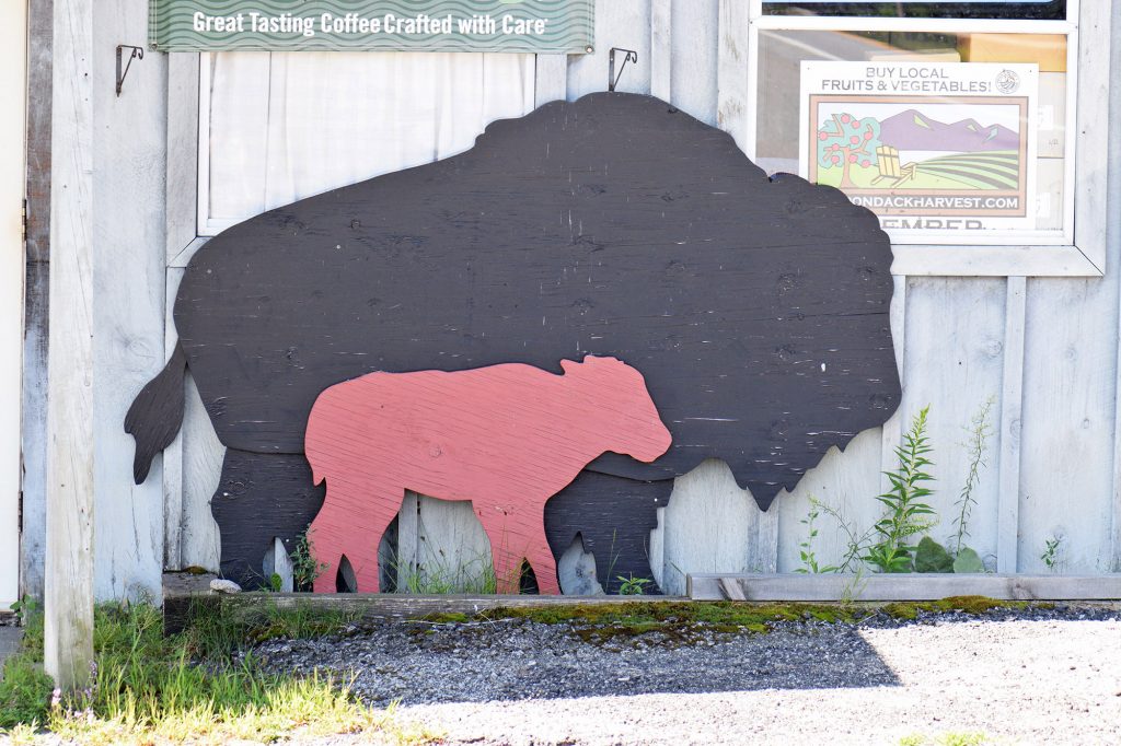 Even in regions that no longer have buffalo herds, there are reminders of their cultural impact.