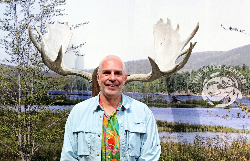 Taking a break at an interpretive center in upstate New York. Are these antlers or horns?