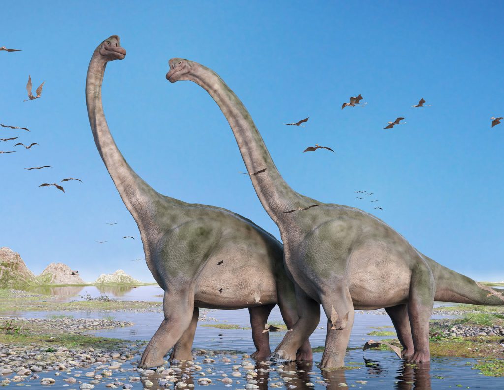 Herbivorous dinosaurs with a lizard-shaped pelvis.  Many were massive, including Brachiosaurus.