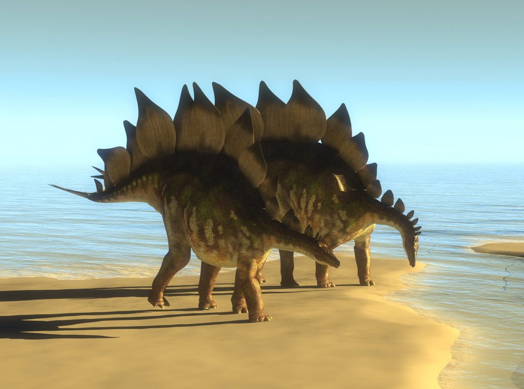 "Bird-like" pelvis, these herbivores include stegosaurus, hadrosaurs, and triceratops.