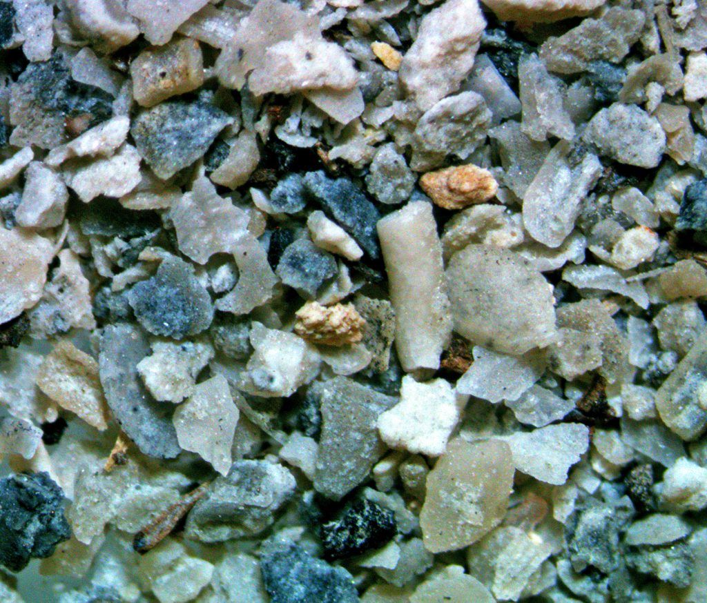 Gray microbrachiopod pieces are scattered within this Silurian Era sample from the Halla Beds of Gotland, Sweden.