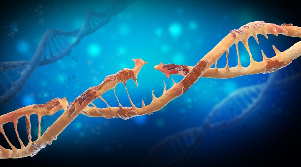 8a2 Comparative Genomes