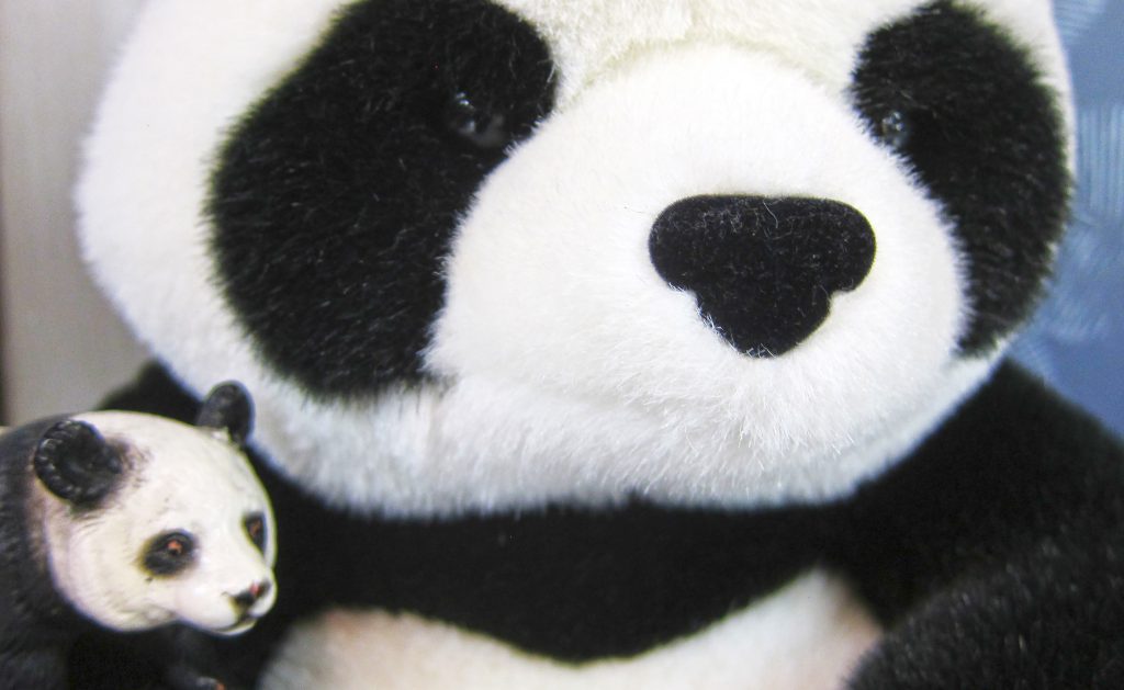 It's probably not a big surprise at this point, but we have a "few" panda items. Including panda costumes, stuffed animals, and plenty of books.